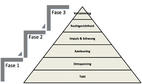 Fases-longeren-FS-1